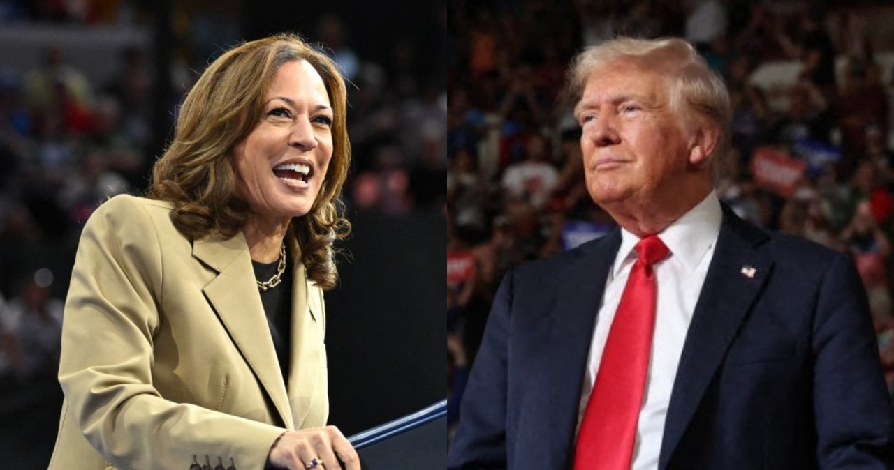 Donald Trump kontra Kamala Harris: Kto zwycięży według małp? Przewidywania przed wyborami.